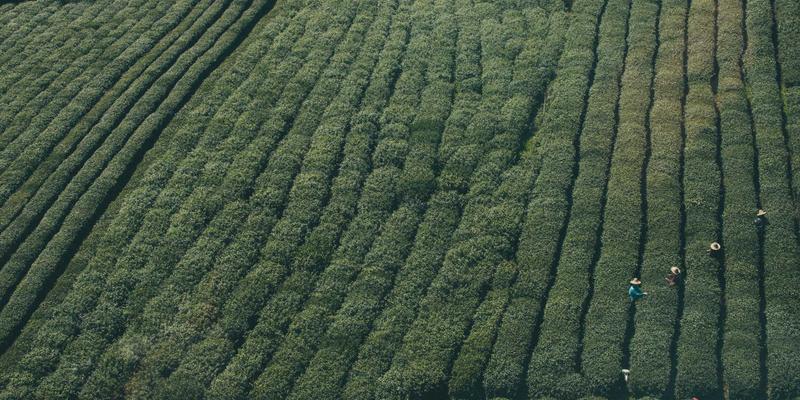 精密机械安全升级指南：北京中自基业如何通过安全PLC、光栅与继电器一体化集成，打造零风险自动化产线