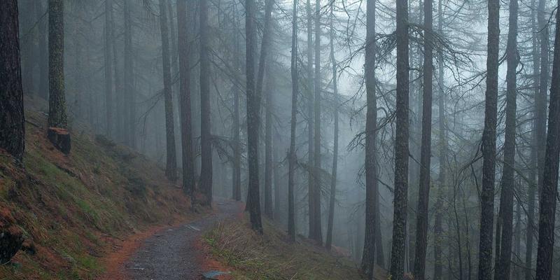 虚拟调试与产能仿真双引擎驱动：北京中自基业如何用数字孪生重塑自动化生产线